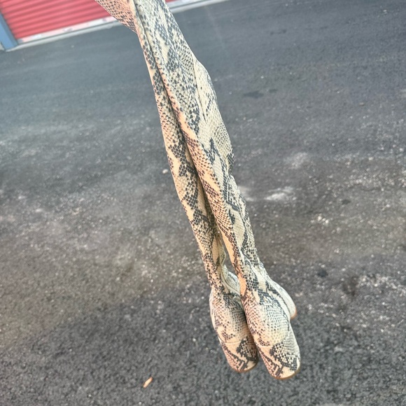 Jacey by Steve Madden - Picture 3 of 5